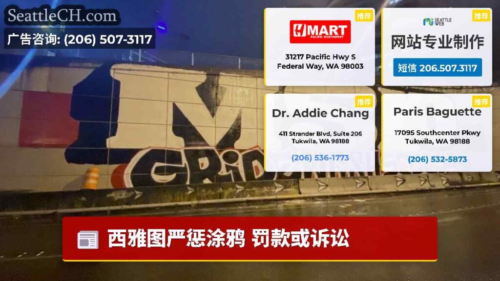 西雅图严惩涂鸦 罚款或诉讼