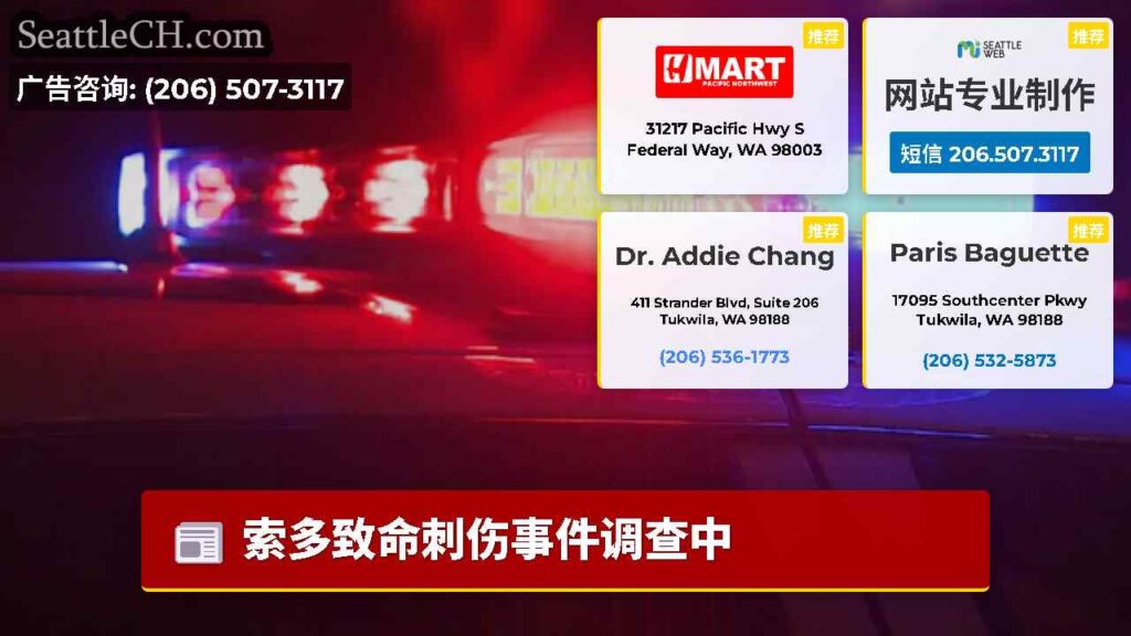 索多致命刺伤事件调查中
