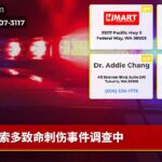 索多致命刺伤事件调查中