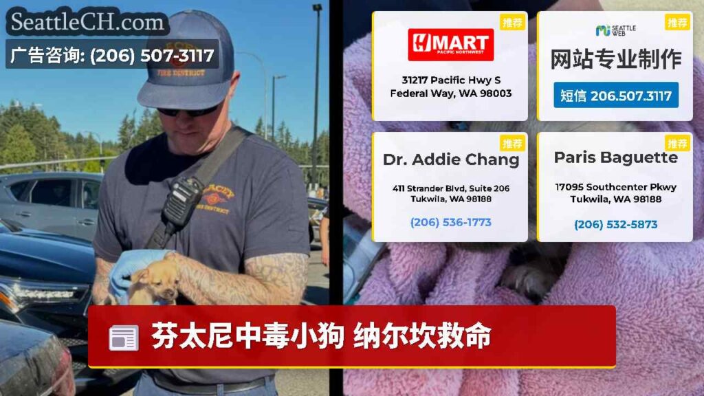 芬太尼中毒小狗 纳尔坎救命