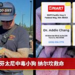 芬太尼中毒小狗 纳尔坎救命