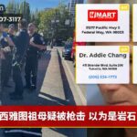 西雅图祖母疑被枪击 以为是岩石