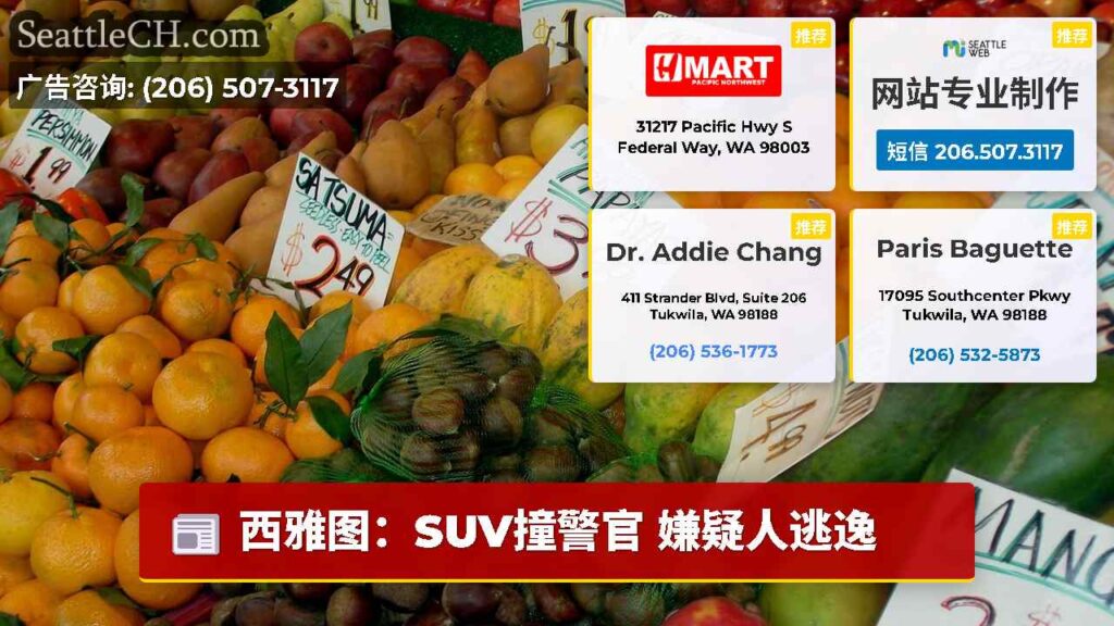 西雅图：SUV撞警官 嫌疑人逃逸
