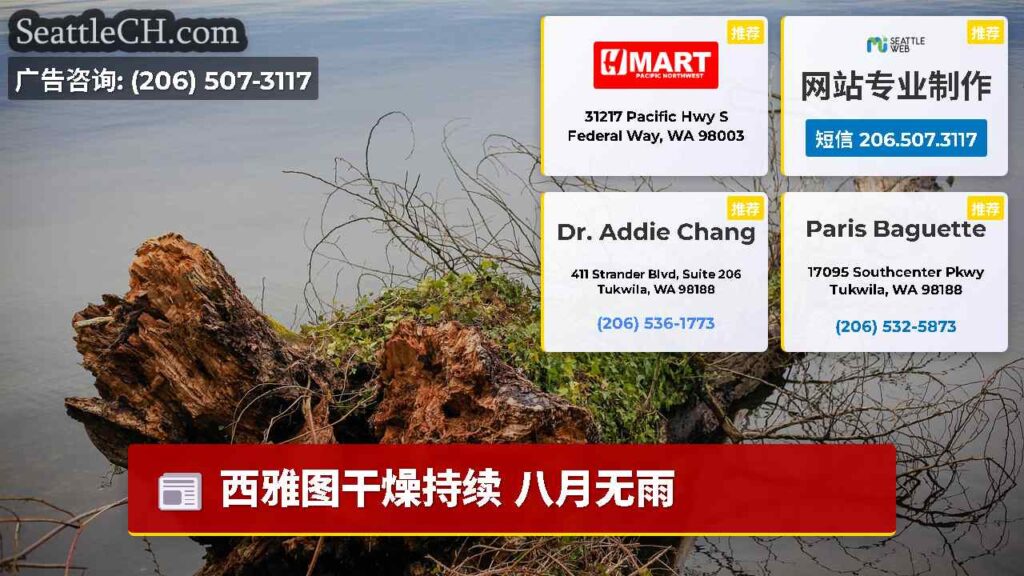 西雅图干燥持续 八月无雨