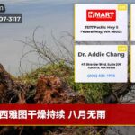 西雅图干燥持续 八月无雨
