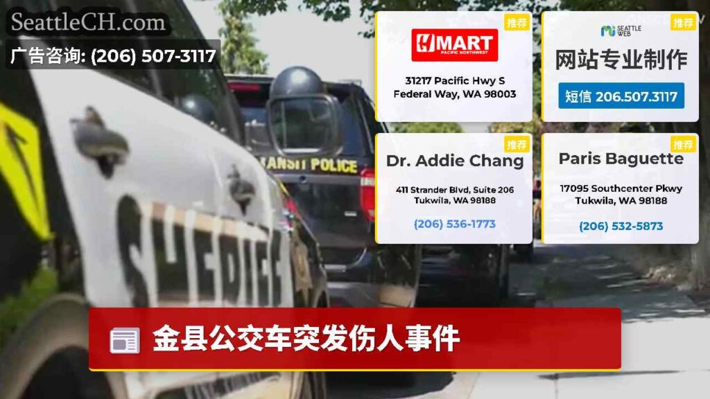 金县公交车突发伤人事件