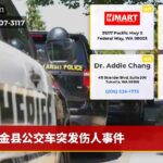 金县公交车突发伤人事件