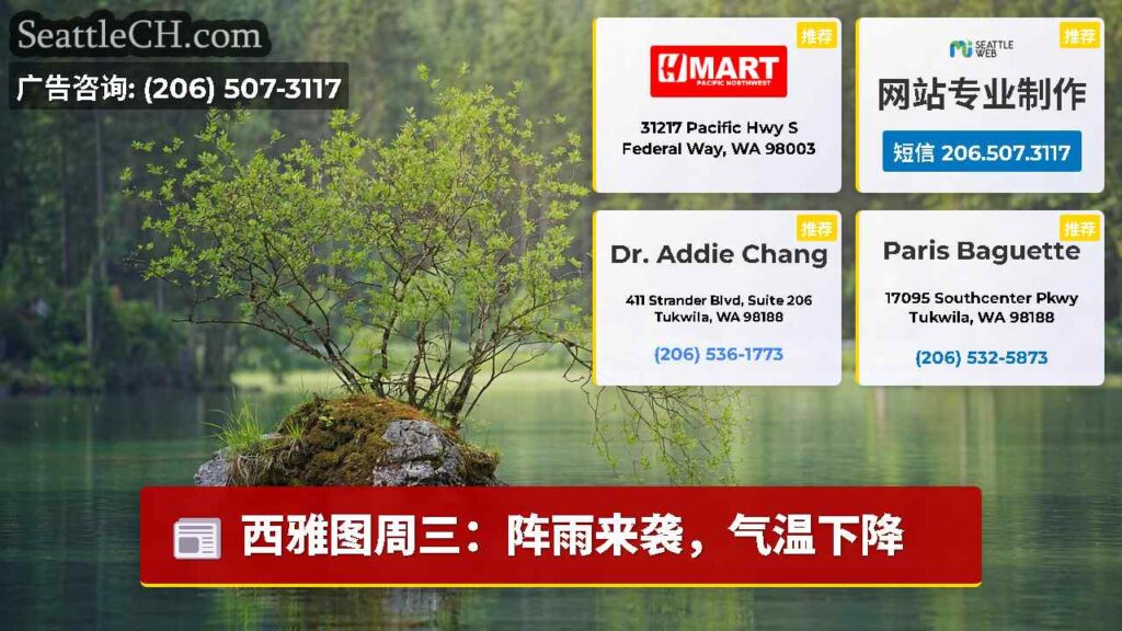 西雅图周三：阵雨来袭，气温下降