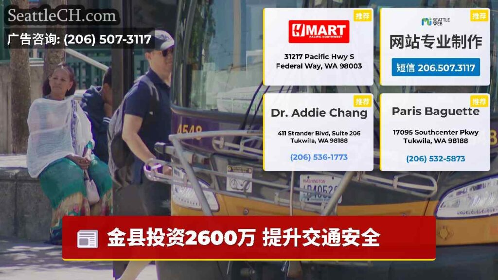 金县投资2600万 提升交通安全