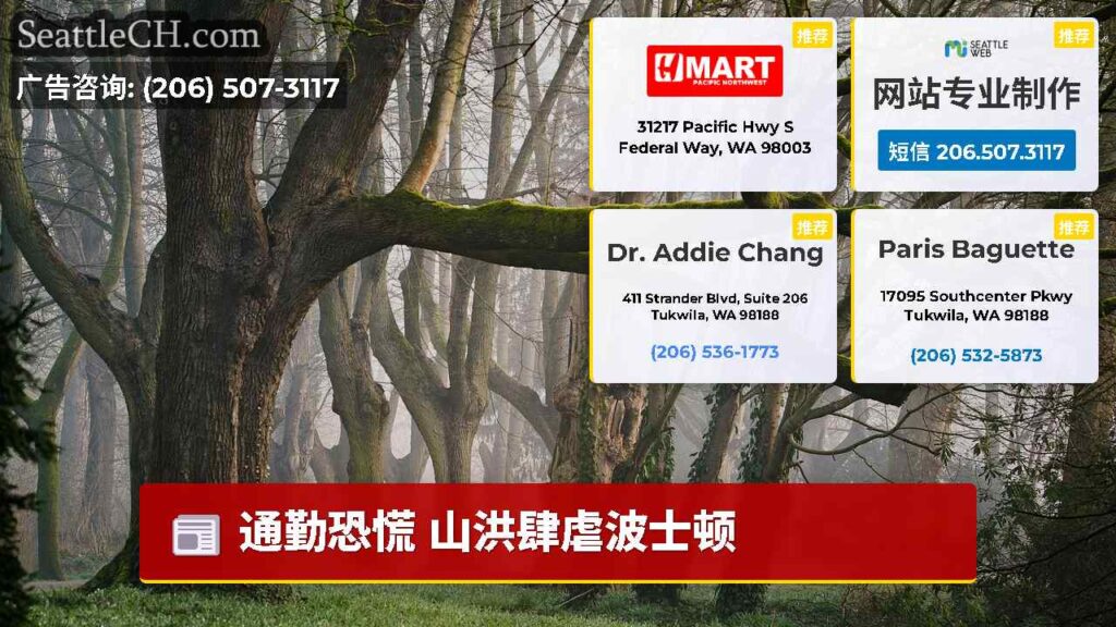 通勤恐慌 山洪肆虐波士顿