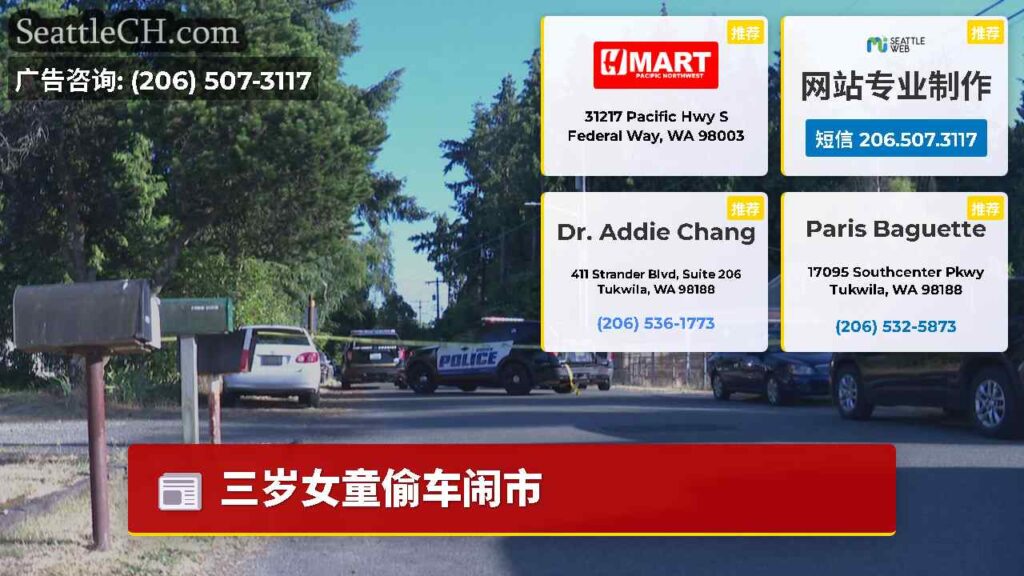 三岁女童偷车闹市