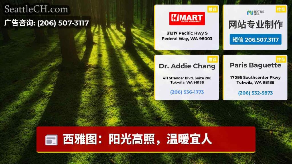 西雅图：阳光高照，温暖宜人
