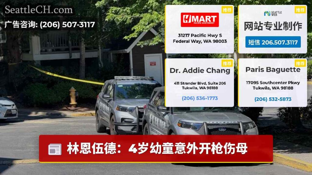 林恩伍德：4岁幼童意外开枪伤母