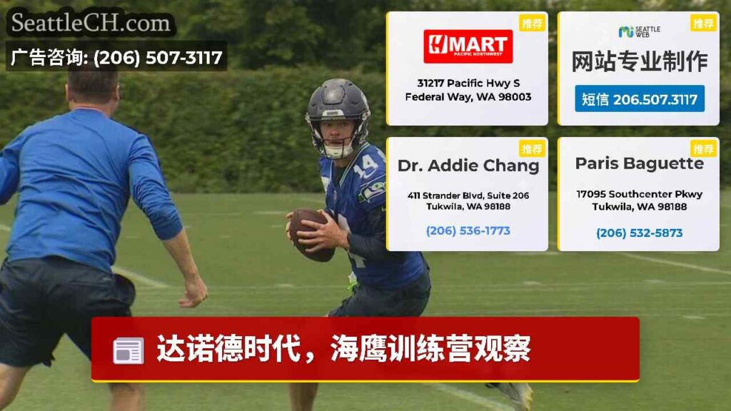 达诺德时代，海鹰训练营观察