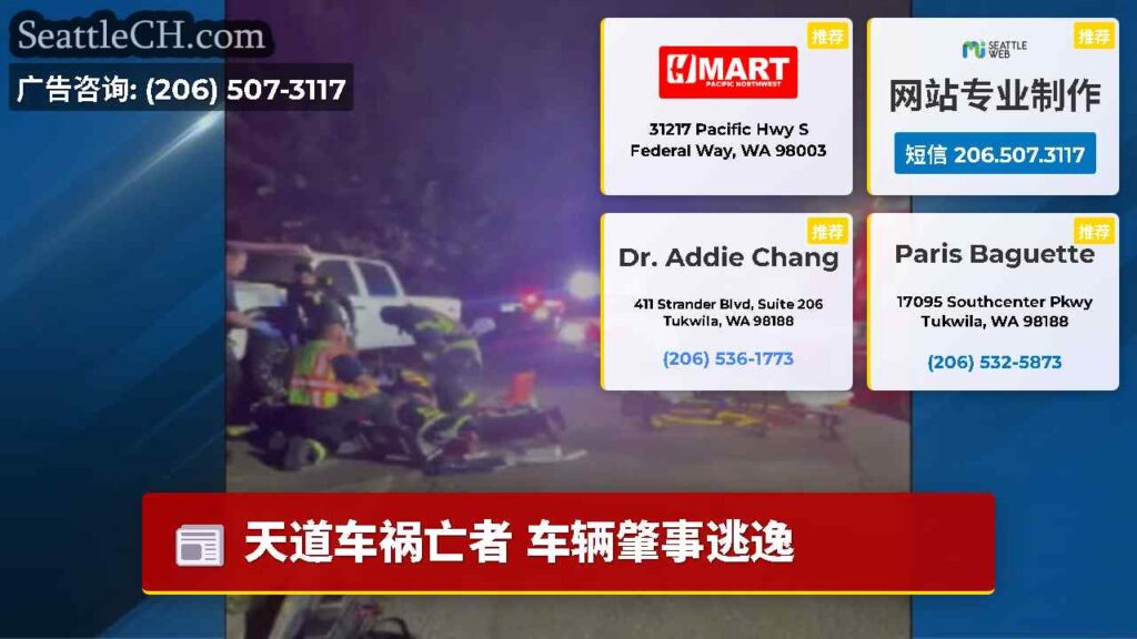 天道车祸亡者 车辆肇事逃逸