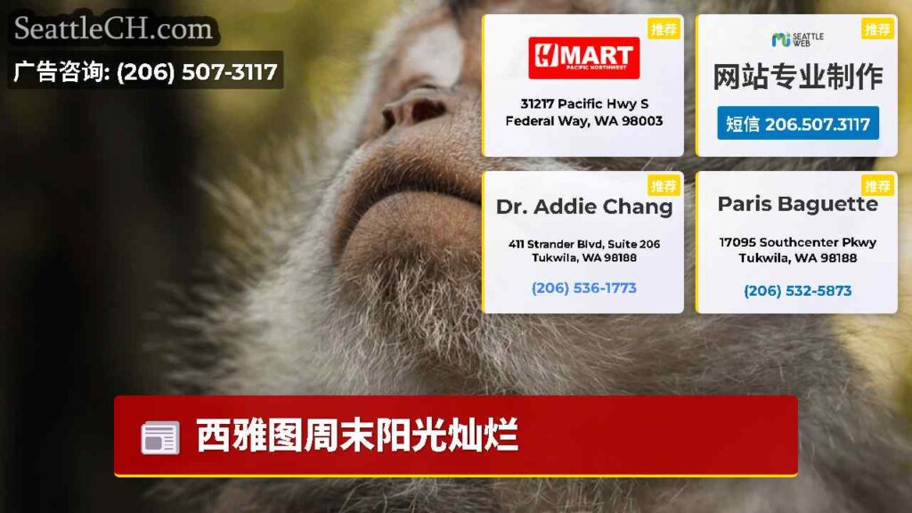 西雅图周末阳光灿烂