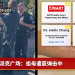 派克广场：祖母遭霰弹击中