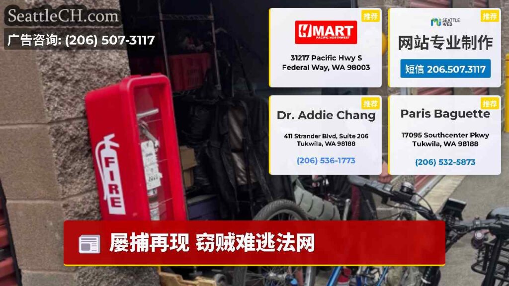 屡捕再现 窃贼难逃法网