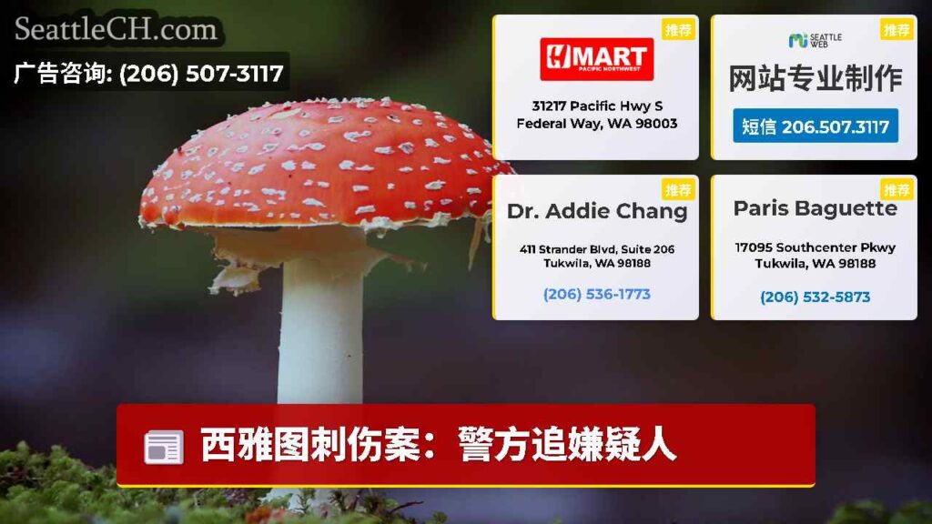 西雅图刺伤案：警方追嫌疑人
