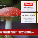 西雅图刺伤案：警方追嫌疑人
