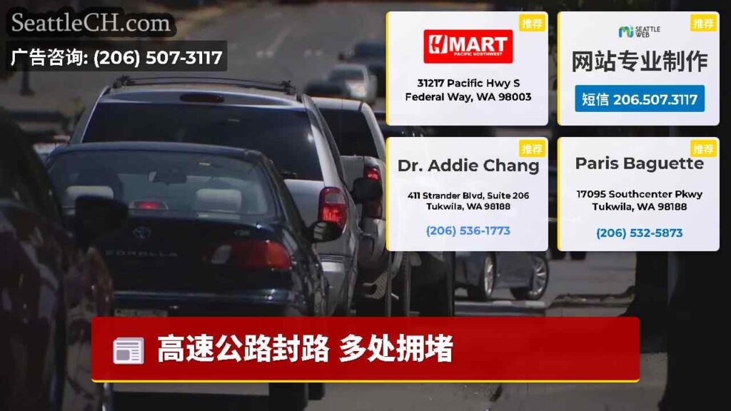 高速公路封路 多处拥堵