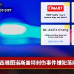 西雅图诺斯盖特刺伤事件嫌犯落网