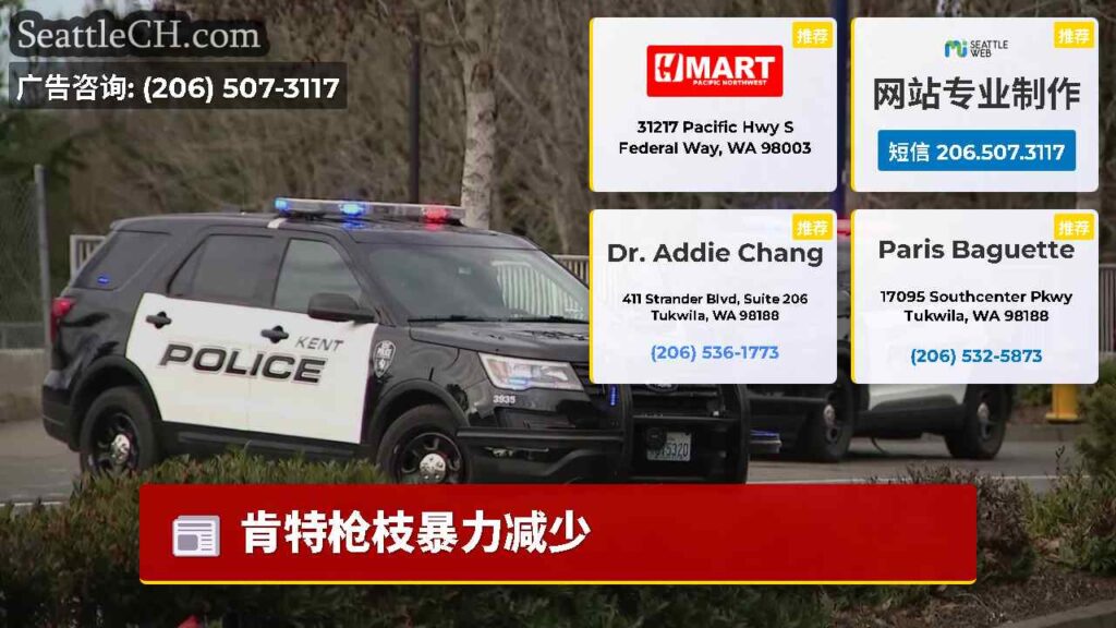 肯特枪枝暴力减少