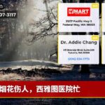 烟花伤人，西雅图医院忙