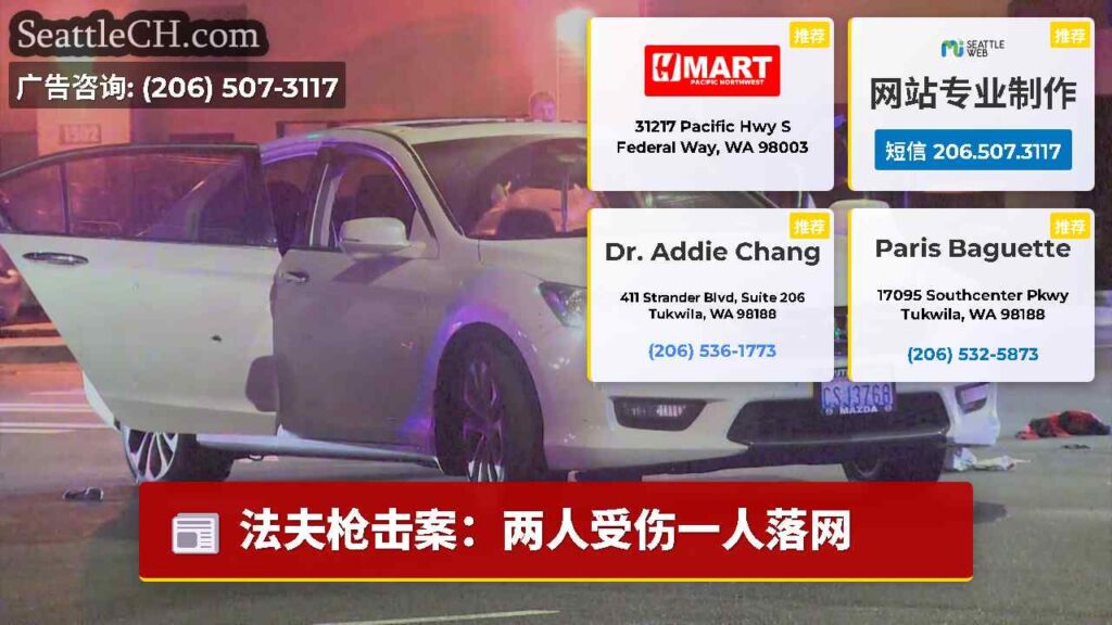 法夫枪击案：两人受伤一人落网