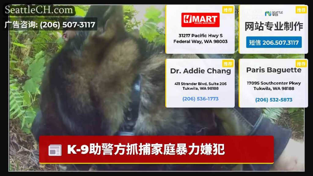 K-9助警方抓捕家庭暴力嫌犯