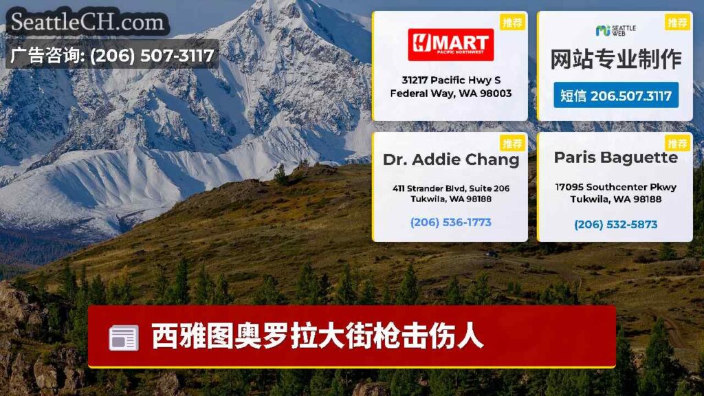西雅图奥罗拉大街枪击伤人