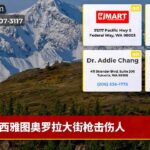 西雅图奥罗拉大街枪击伤人