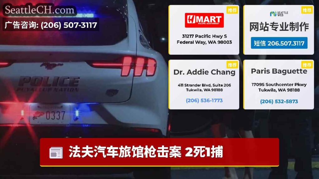 法夫汽车旅馆枪击案 2死1捕