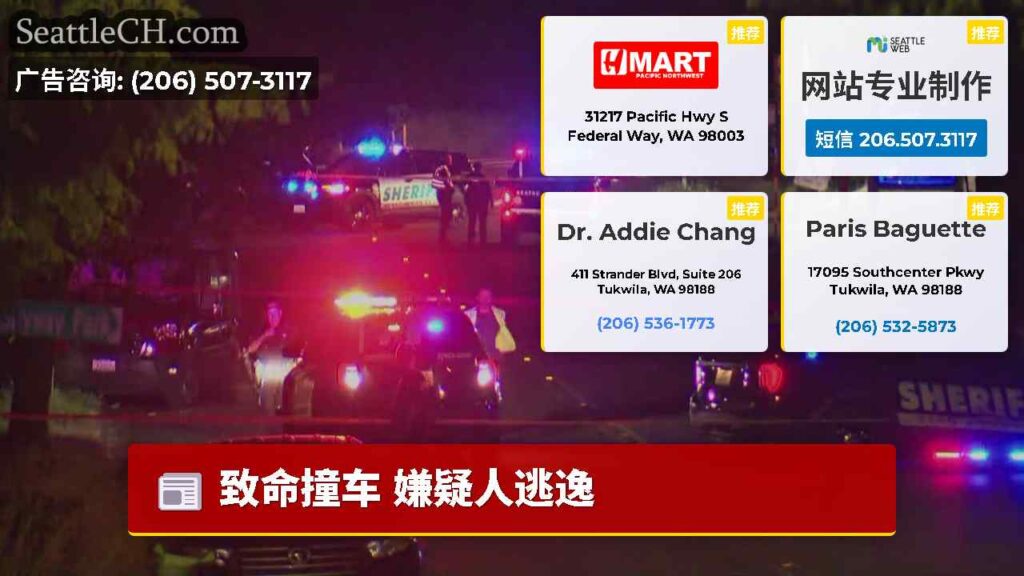 致命撞车 嫌疑人逃逸