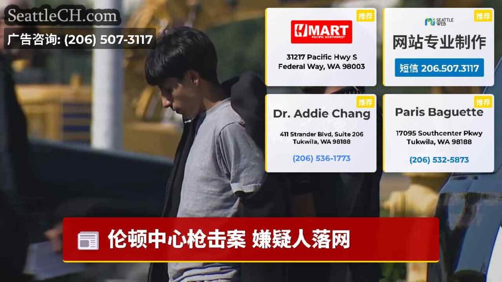 伦顿中心枪击案 嫌疑人落网