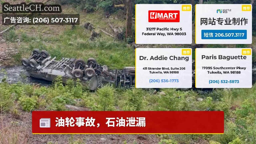 油轮事故，石油泄漏