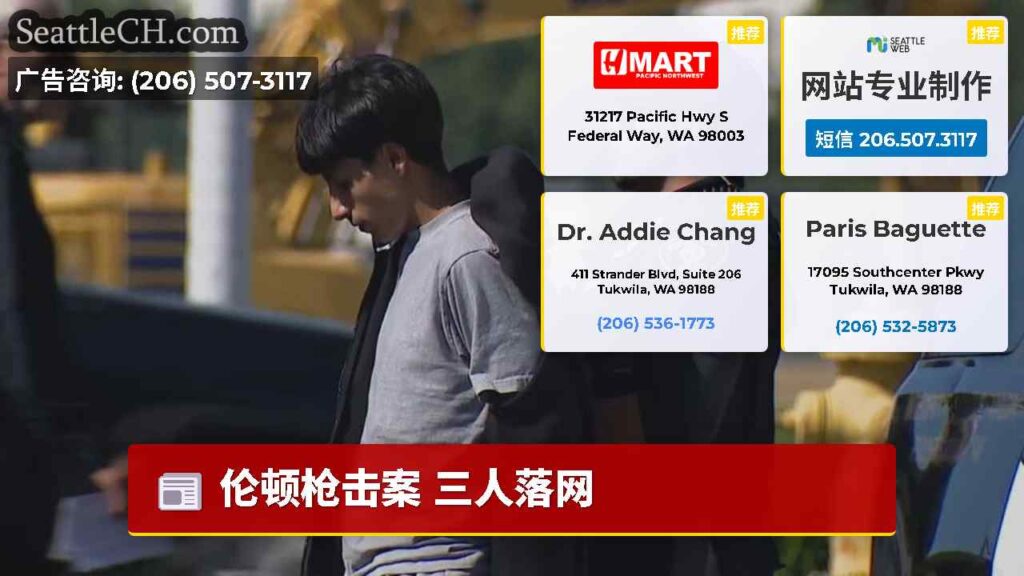 伦顿枪击案 三人落网