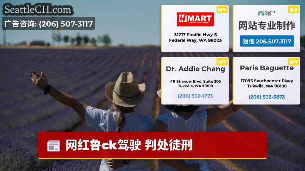 网红鲁ck驾驶 判处徒刑