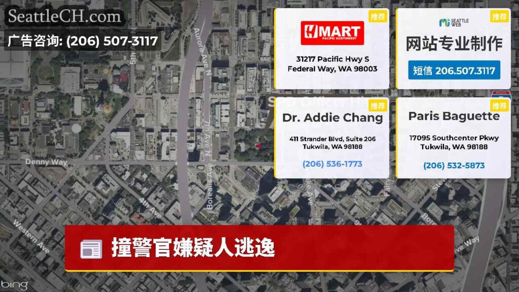 撞警官嫌疑人逃逸