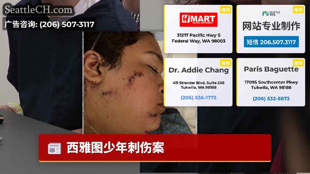 西雅图少年刺伤案
