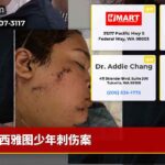 西雅图少年刺伤案