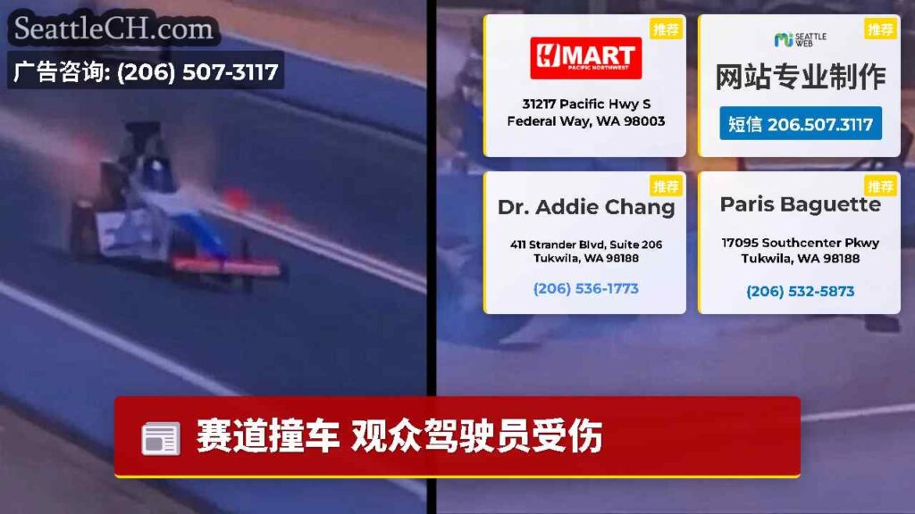 赛道撞车 观众驾驶员受伤