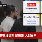 醉驾撞警车 酿悲剧 入狱11年