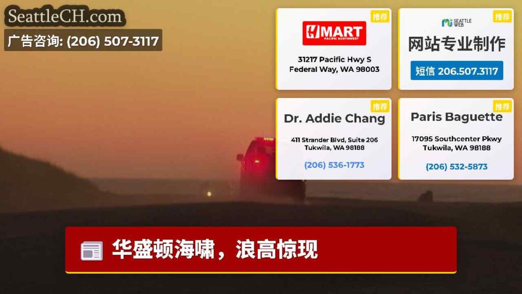 华盛顿海啸，浪高惊现