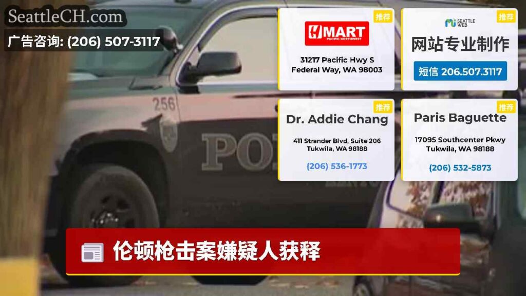 伦顿枪击案嫌疑人获释