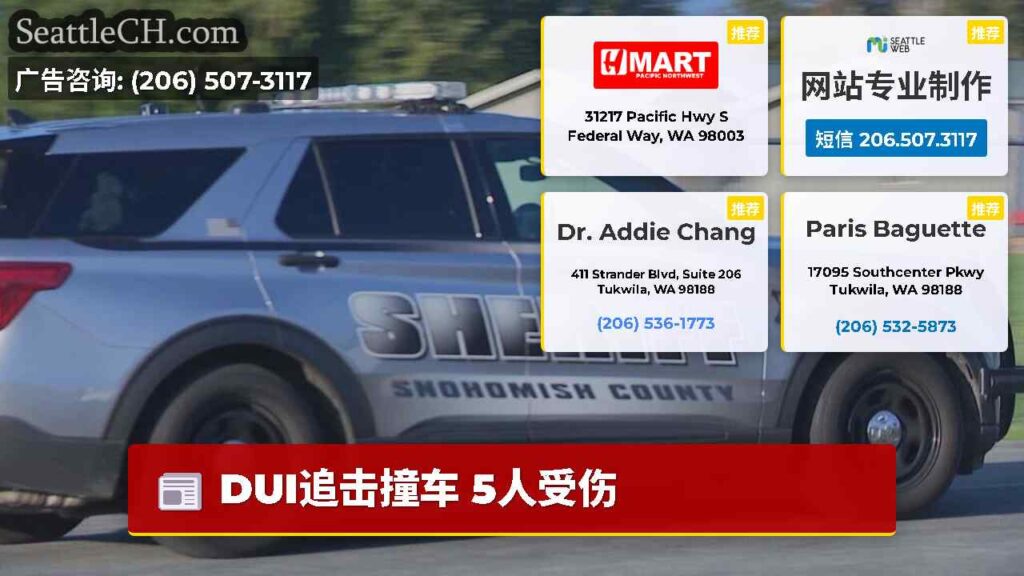 DUI追击撞车 5人受伤