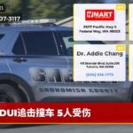 DUI追击撞车 5人受伤