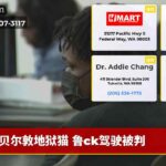 贝尔敦地狱猫 鲁ck驾驶被判