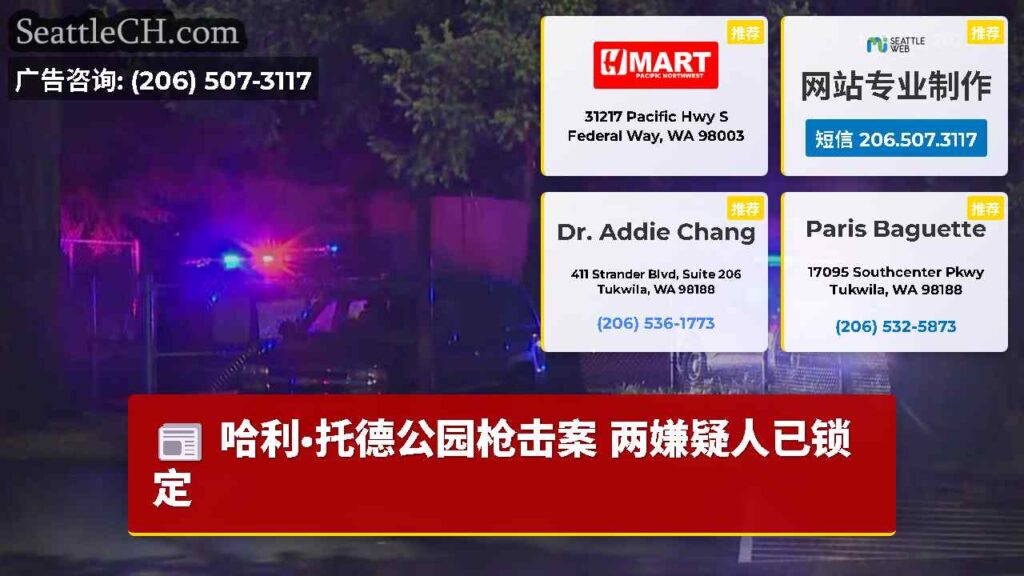 哈利·托德公园枪击案 两嫌疑人已锁定