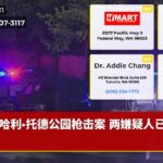 哈利·托德公园枪击案 两嫌疑人已锁定
